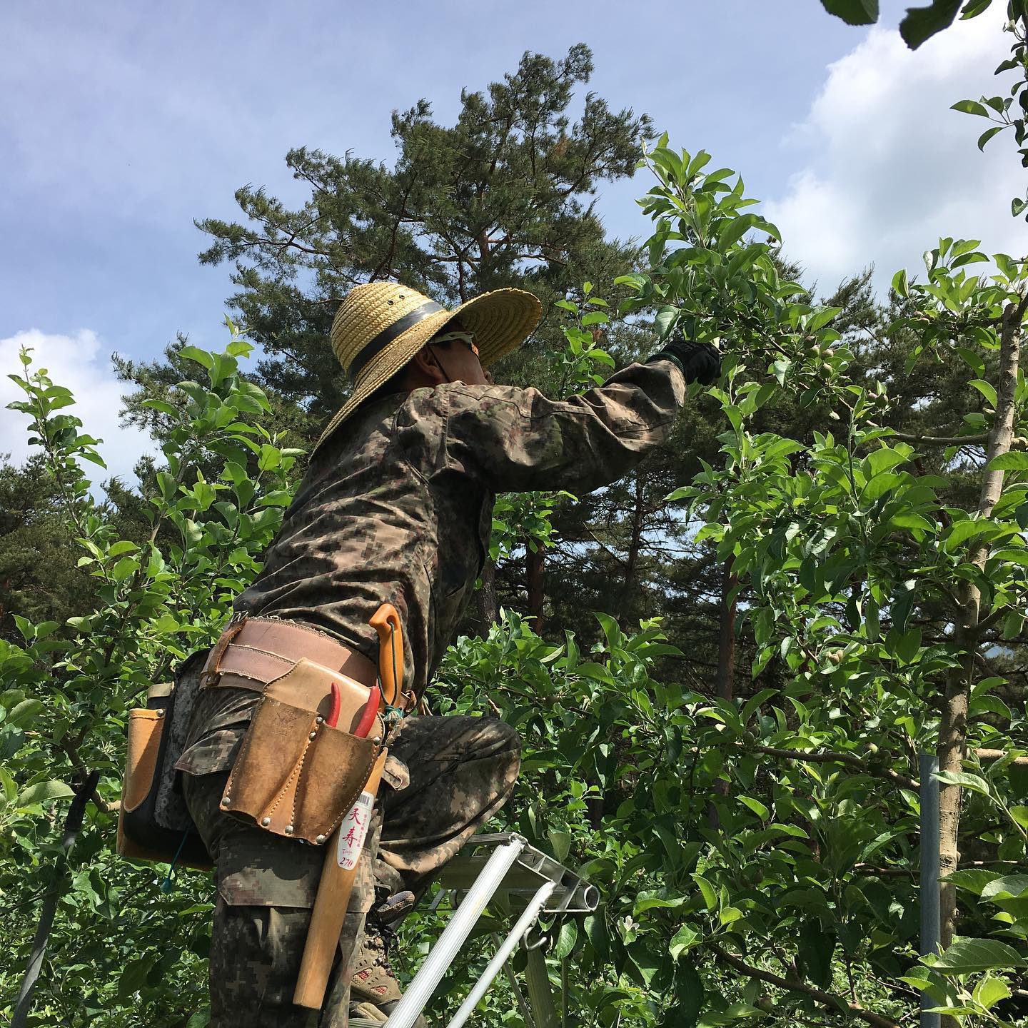 슬라이드 이미지