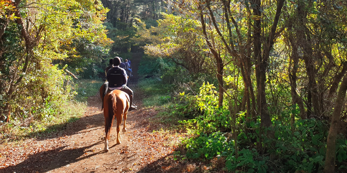 슬라이드 이미지