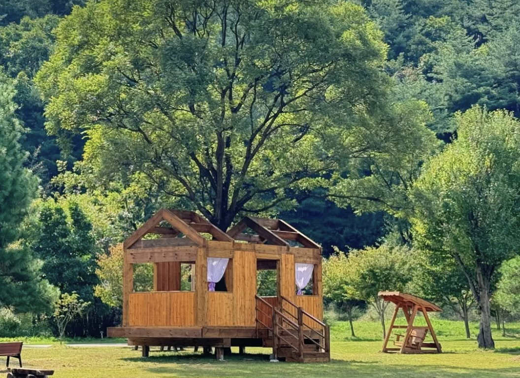 프로그램 이미지 썸네일 3