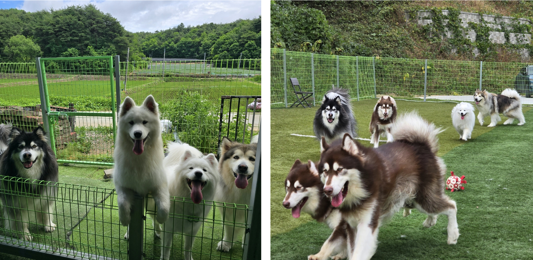 프로그램 이미지 썸네일 3