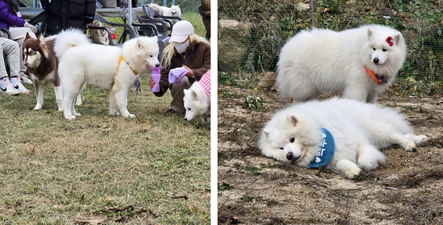 프로그램 이미지 썸네일 5