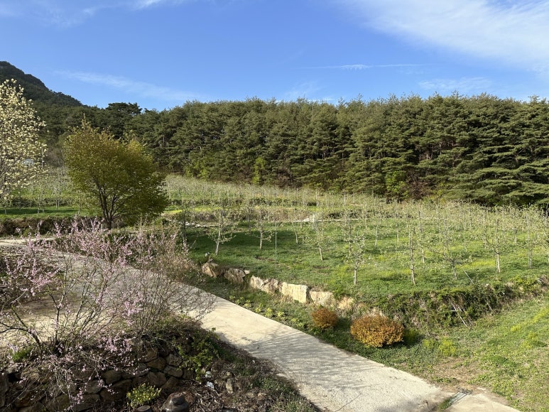 프로그램 이미지 썸네일 2