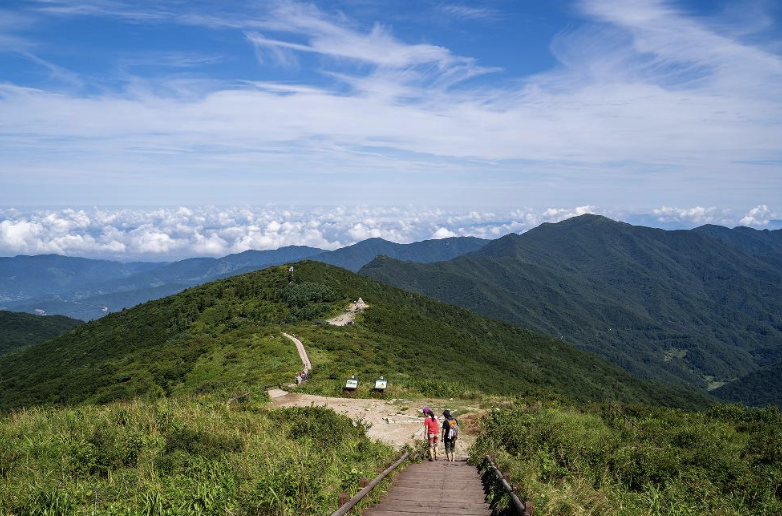 Experience the eco-friendly local planner internship in Gurye