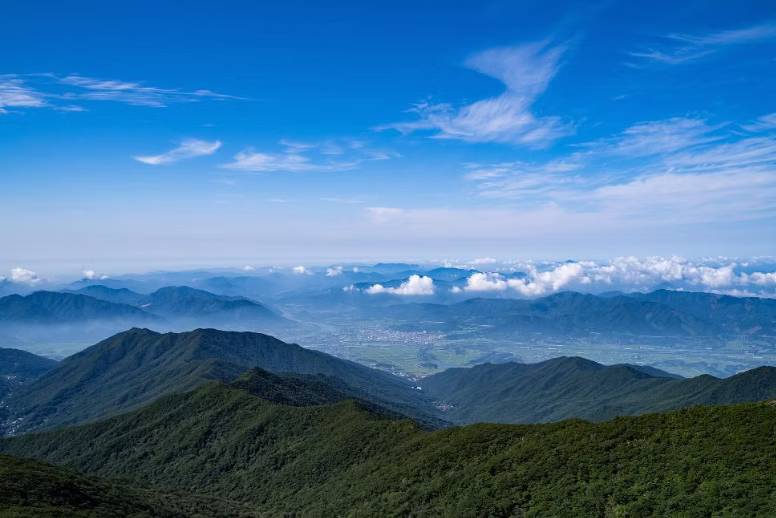 프로그램 이미지 썸네일 4