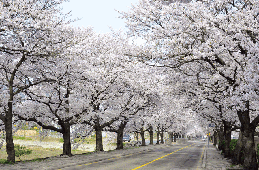 프로그램 이미지 썸네일 3