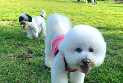 프로그램 이미지 썸네일 4