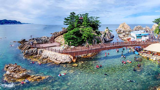 프로그램 이미지 썸네일 3